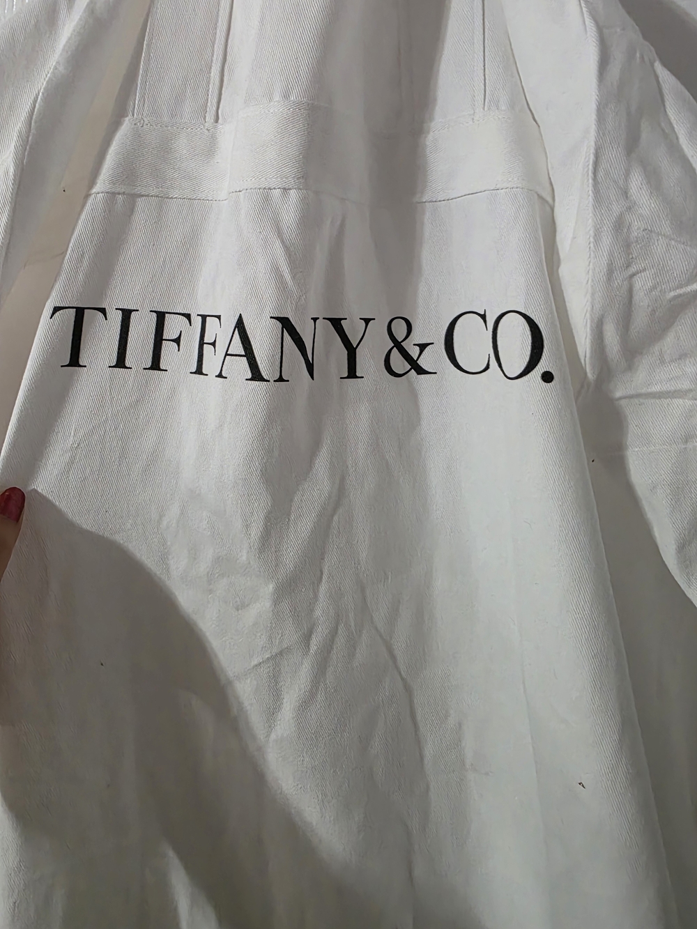 Tiffany & Co. White Garmet dust bag